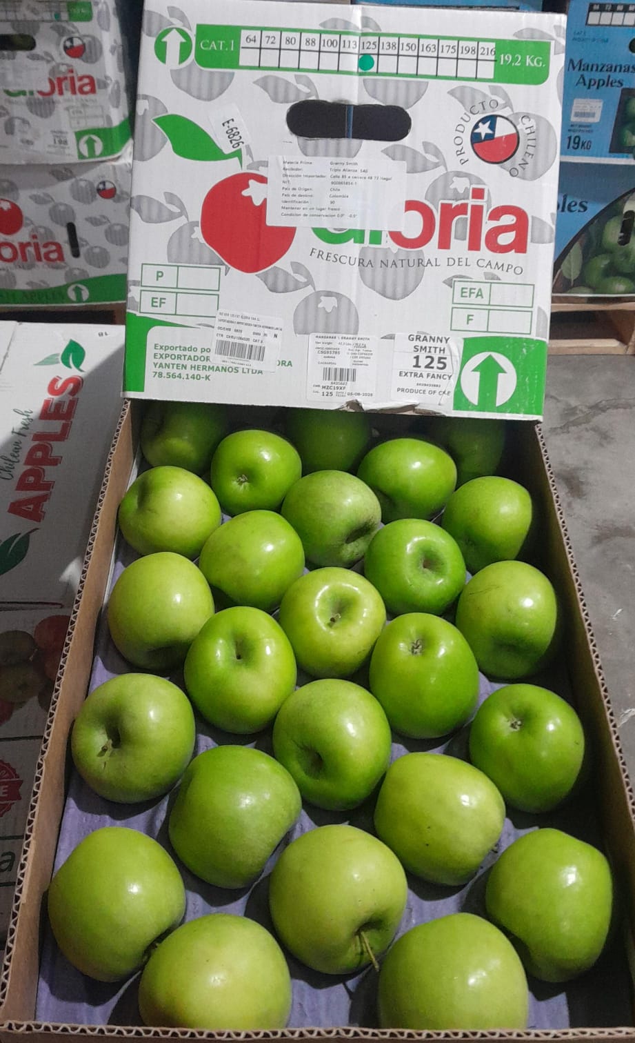MANZANA VERDE GRANDE